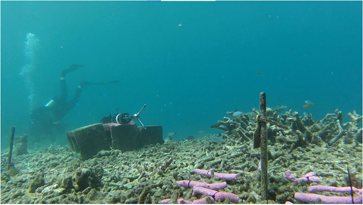 Rubble Stabilization For Coral Reef Recovery After Damage